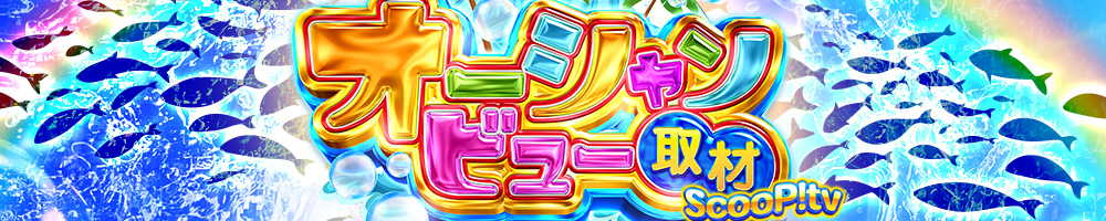 スケジュール